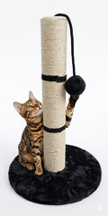 Juguete para Gato Rascador Poste con Pelota