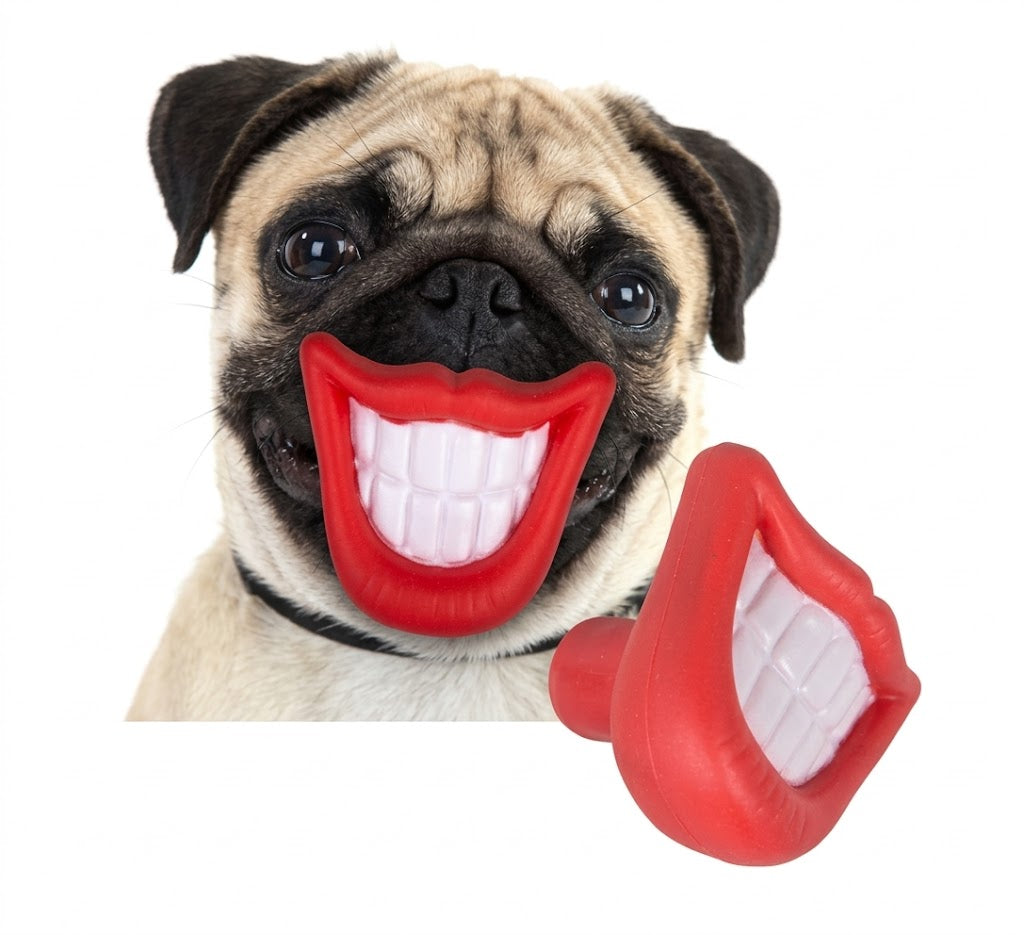 Juguete Dientes para Perros
